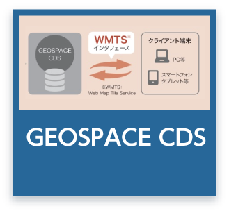 GEOSPACE CDS