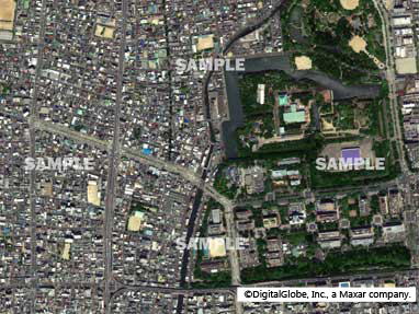 クリックしてダウンロード