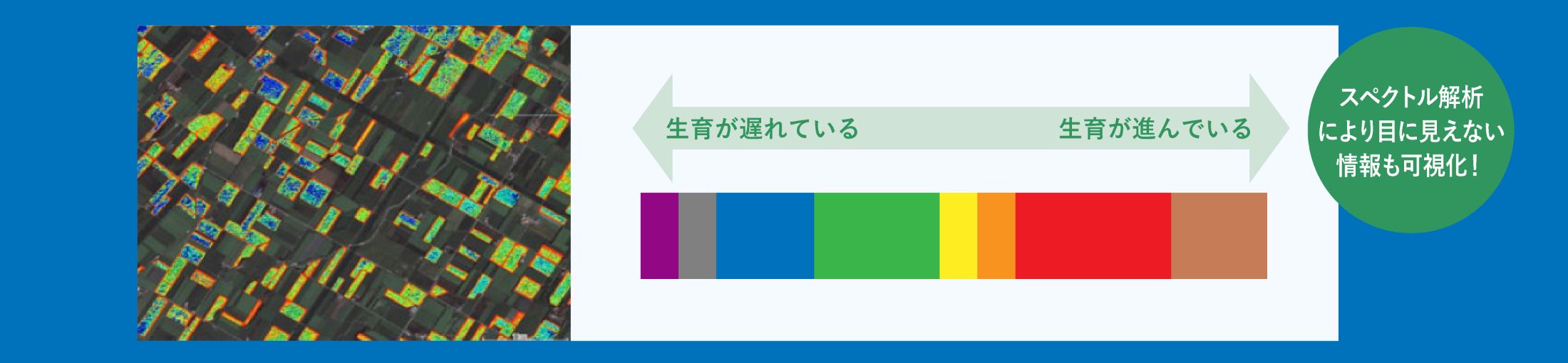 図：衛星画像を活用した農業情報管理システム